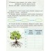 ДПА 2025 4 клас Математика+Українська мова+ЯДС Збірник завдань авт: Гільберг, Тарнавська вид: Генеза